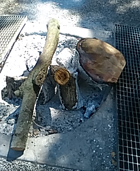 f:id:maturika18:20190507165727j:plain f:id:maturika18:20190507165727j:plain