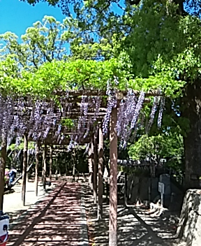 f:id:maturika18:20190507165925j:plain f:id:maturika18:20190507165925j:plain