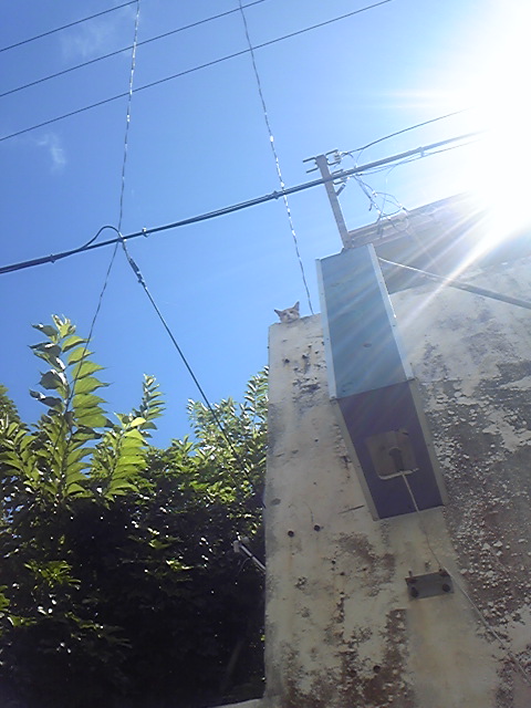 f:id:maturika18:20190525095015j:plain