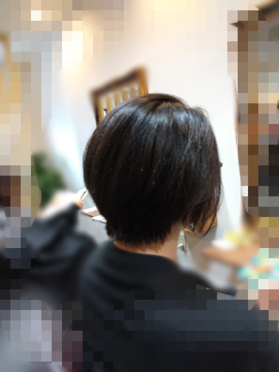 f:id:maturika18:20190813100552j:plain
