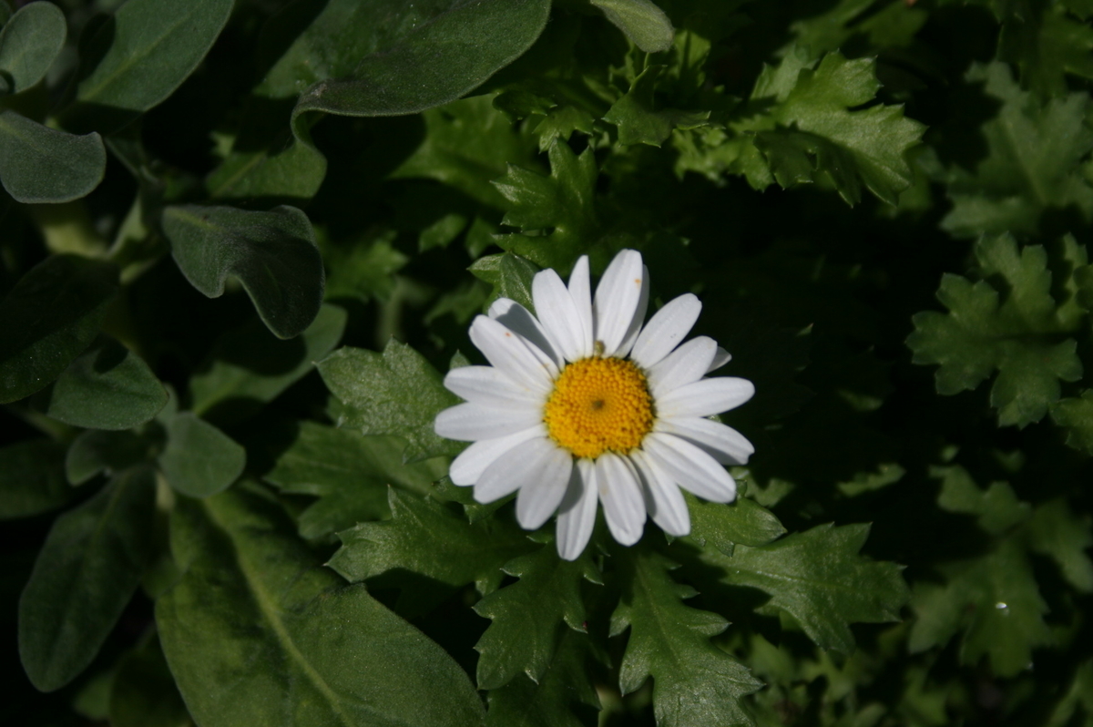 f:id:maturika18:20191209165528j:plain f:id:maturika18:20191209165528j:plain