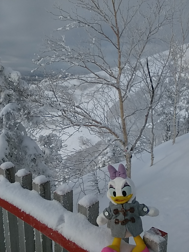 f:id:maturika18:20200224163128j:plain f:id:maturika18:20200224163128j:plain
