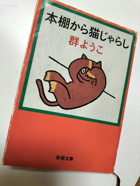 f:id:maturika18:20230304182113j:image f:id:maturika18:20230304182113j:image
