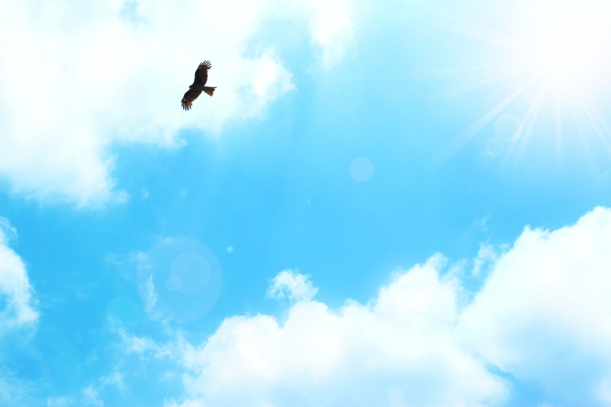 f:id:matushino:20201026182718j:plain f:id:matushino:20201026182718j:plain