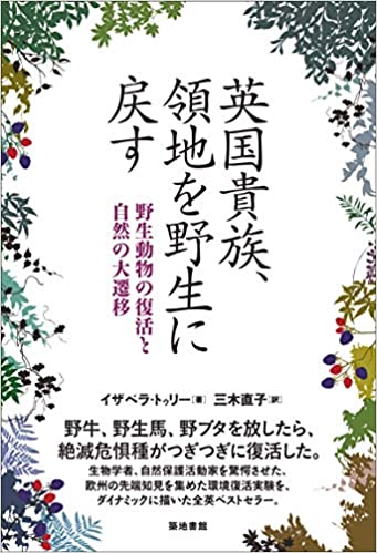 f:id:matushino:20210705091105j:plain