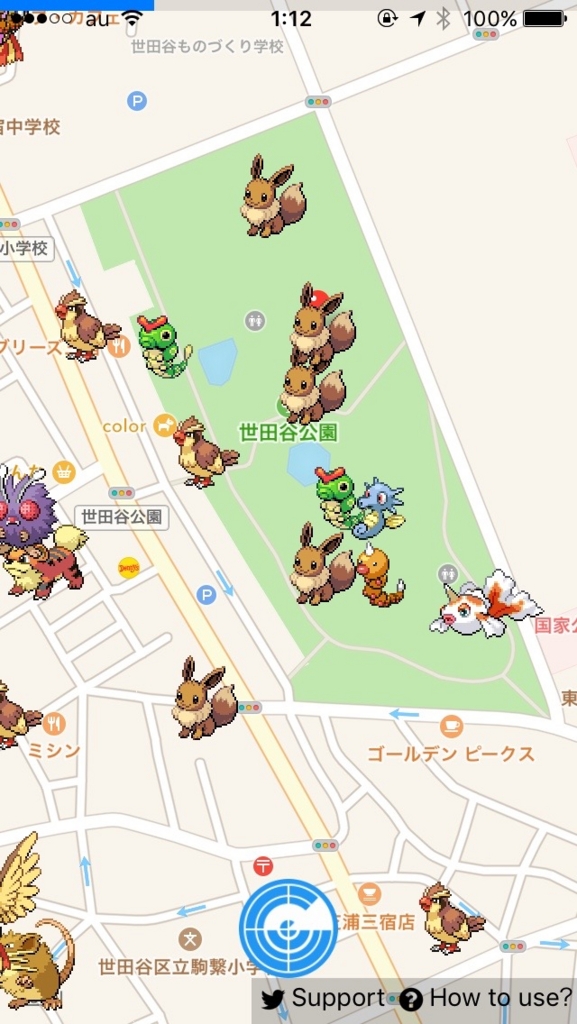 世田谷公園のミニリュウ祭り終了のお知らせ 目黒川にミニリュウが移動 ソトカリナカフワ生活