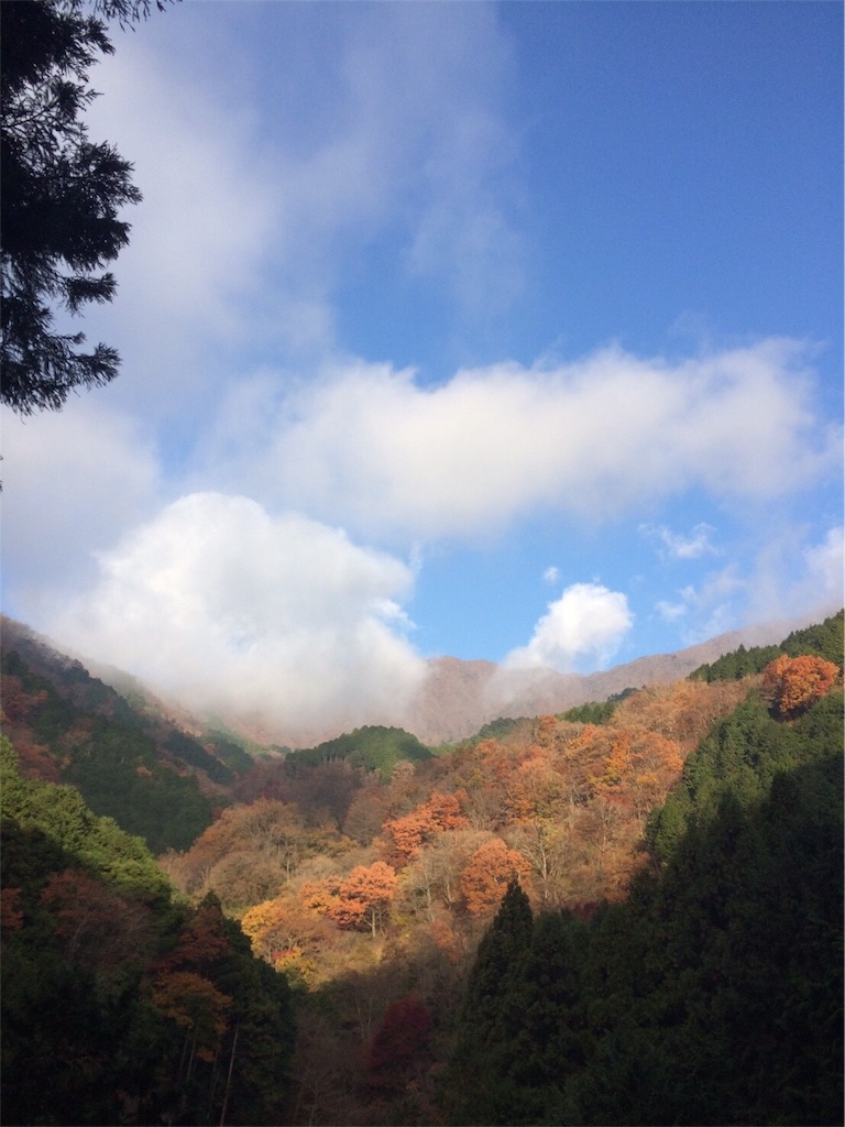 f:id:mauntain-me:20181001210933j:image f:id:mauntain-me:20181001210933j:image