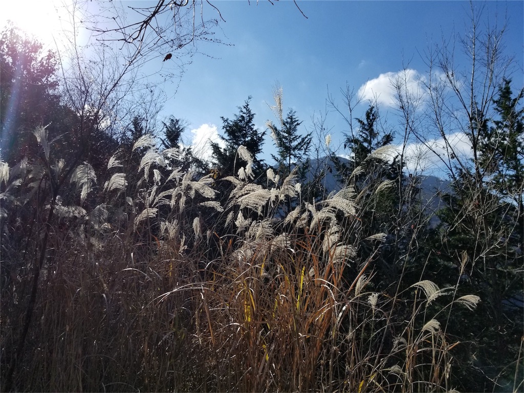 f:id:mauntain-me:20181207002533j:image f:id:mauntain-me:20181207002533j:image