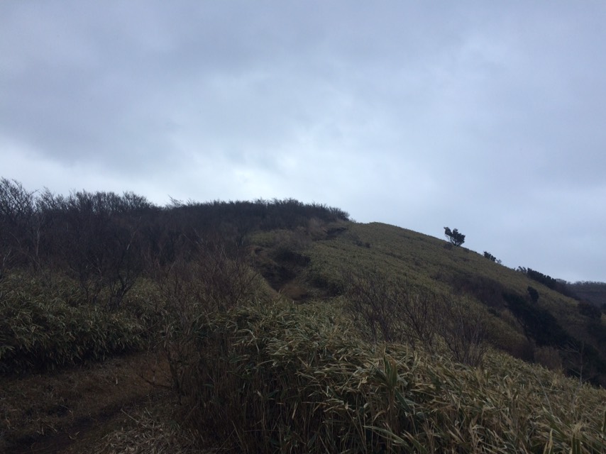 f:id:mauntain-me:20190101172425j:plain f:id:mauntain-me:20190101172425j:plain