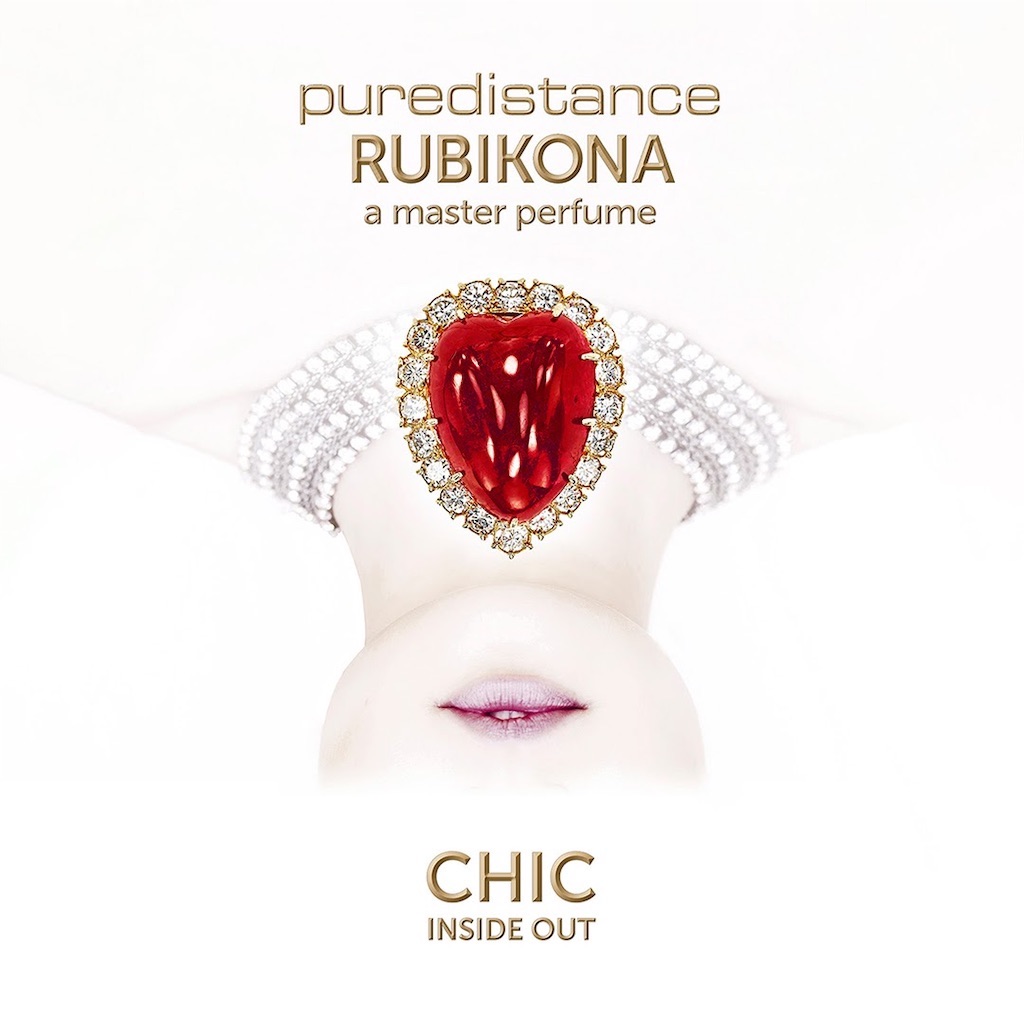 101.含み笑いの暗闇《Rubikona(Puredistance)》 - polar night bird