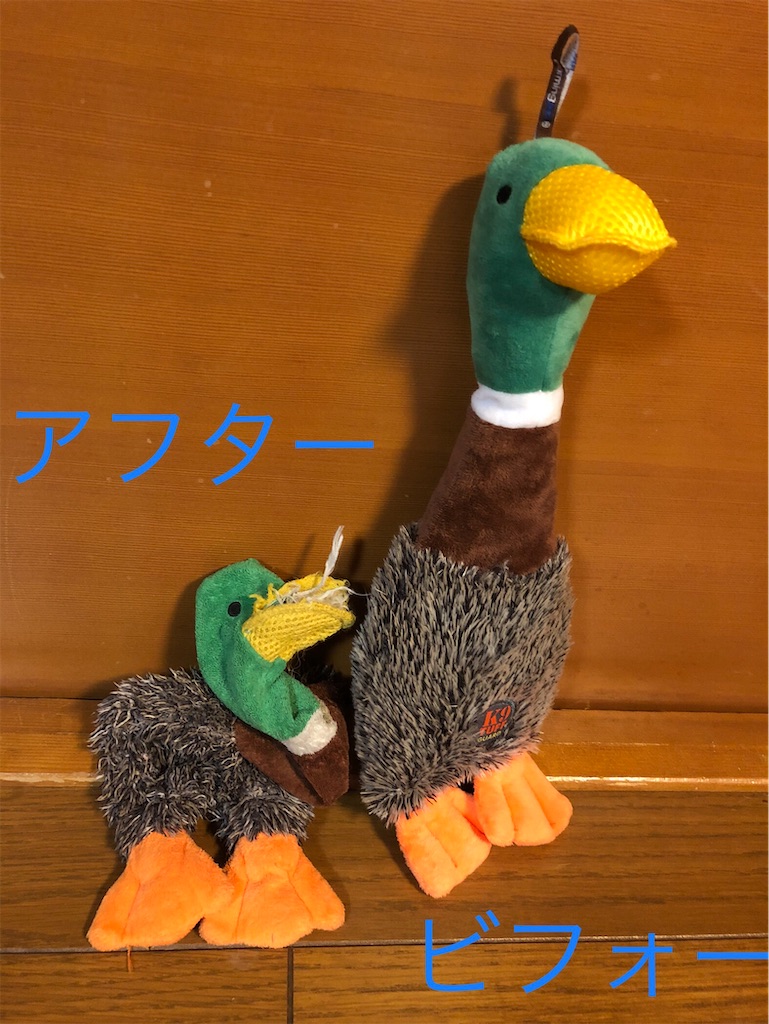 f:id:max-kenta:20230120162355j:image f:id:max-kenta:20230120162355j:image