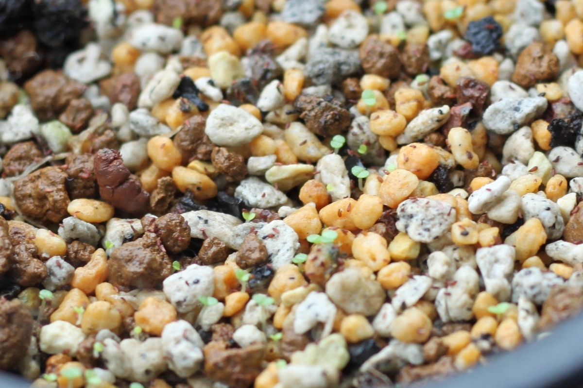 f:id:max206:20190706172430j:plain