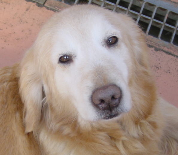 f:id:max6:20120426174011j:image
