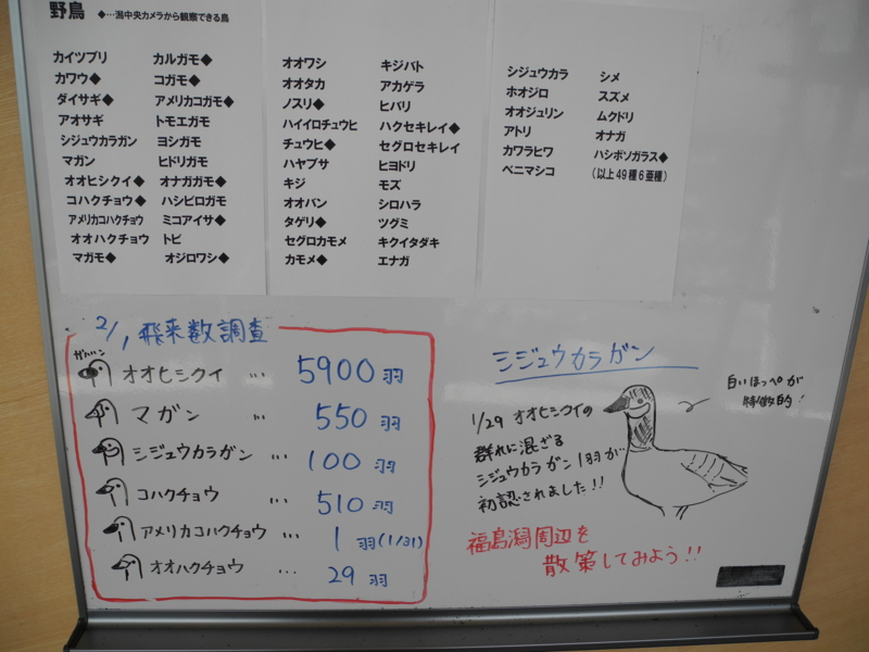 f:id:max6:20130205114617j:image