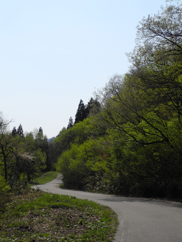 f:id:max6:20130509142034j:image