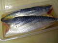 f:id:max6:20140316161230j:image:medium