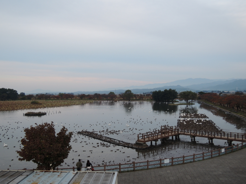 f:id:max6:20141031163147j:image