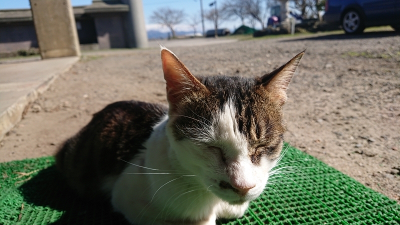 f:id:max6:20180330143537j:image f:id:max6:20180330143537j:image