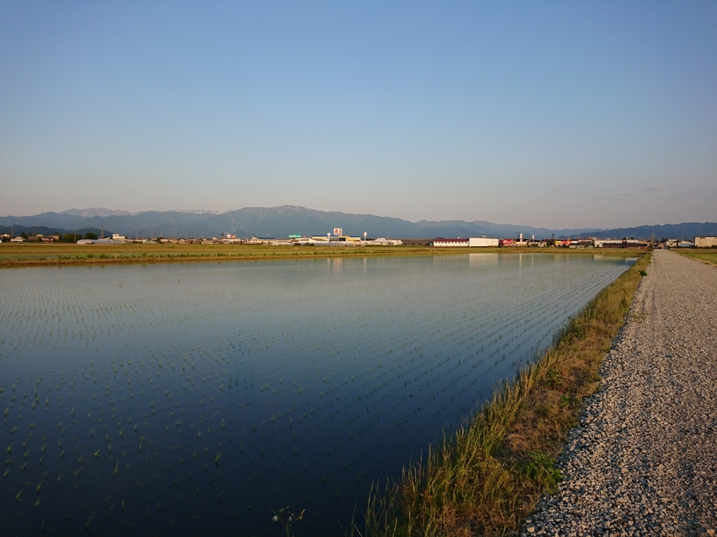 f:id:max6:20180522175730j:plain f:id:max6:20180522175730j:plain