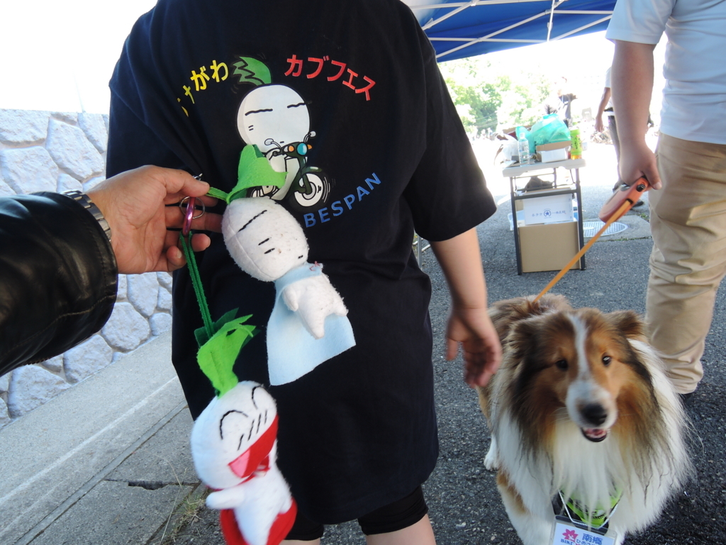 f:id:max6:20180617111851j:plain f:id:max6:20180617111851j:plain