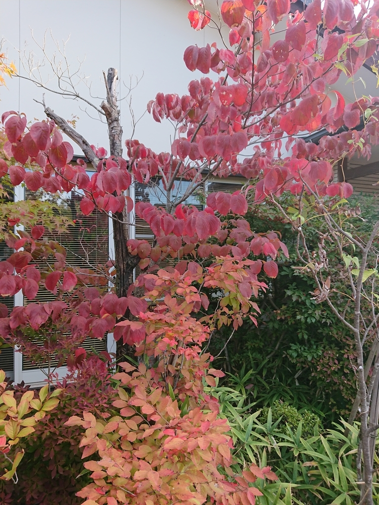 f:id:max6:20181026080519j:plain f:id:max6:20181026080519j:plain