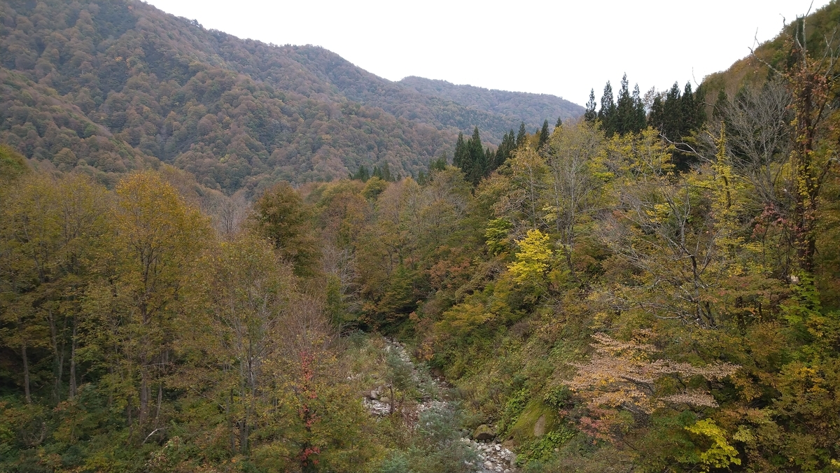 f:id:max6:20201019124704j:plain f:id:max6:20201019124704j:plain