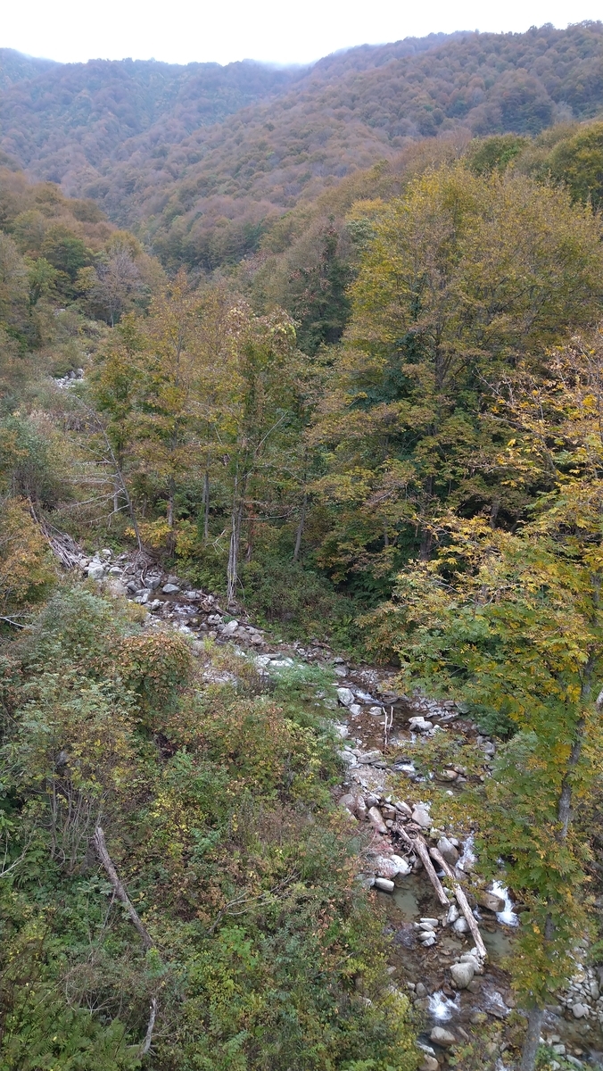 f:id:max6:20201019124813j:plain f:id:max6:20201019124813j:plain