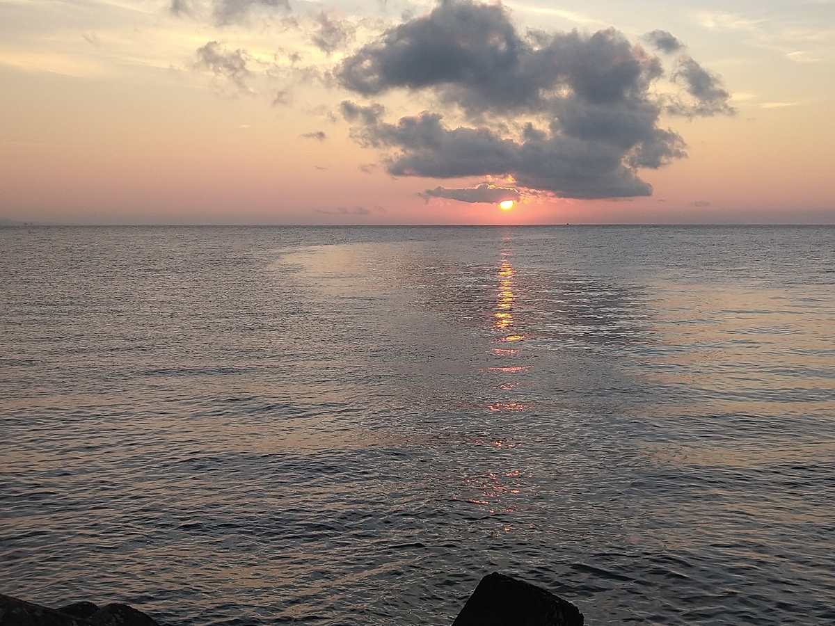 f:id:max6:20210907051745j:plain