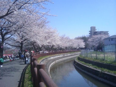 f:id:maxbao:20120408115701j:image