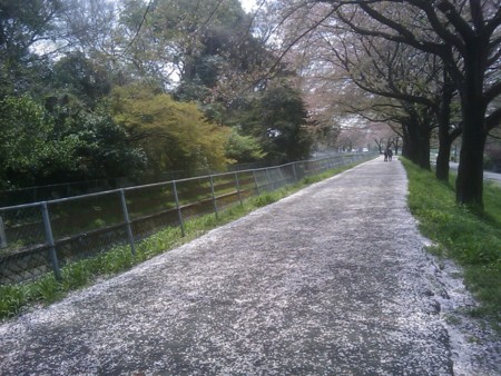f:id:maxbao:20120415120923j:image