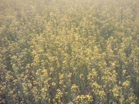 f:id:maxbao:20120422110326j:image