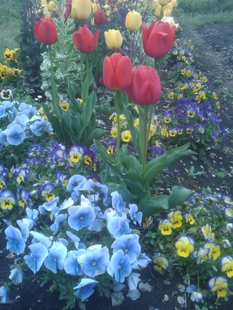 f:id:maxbao:20120422110441j:image