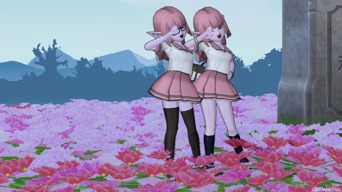 f:id:maxdq10:20191206013707j:plain