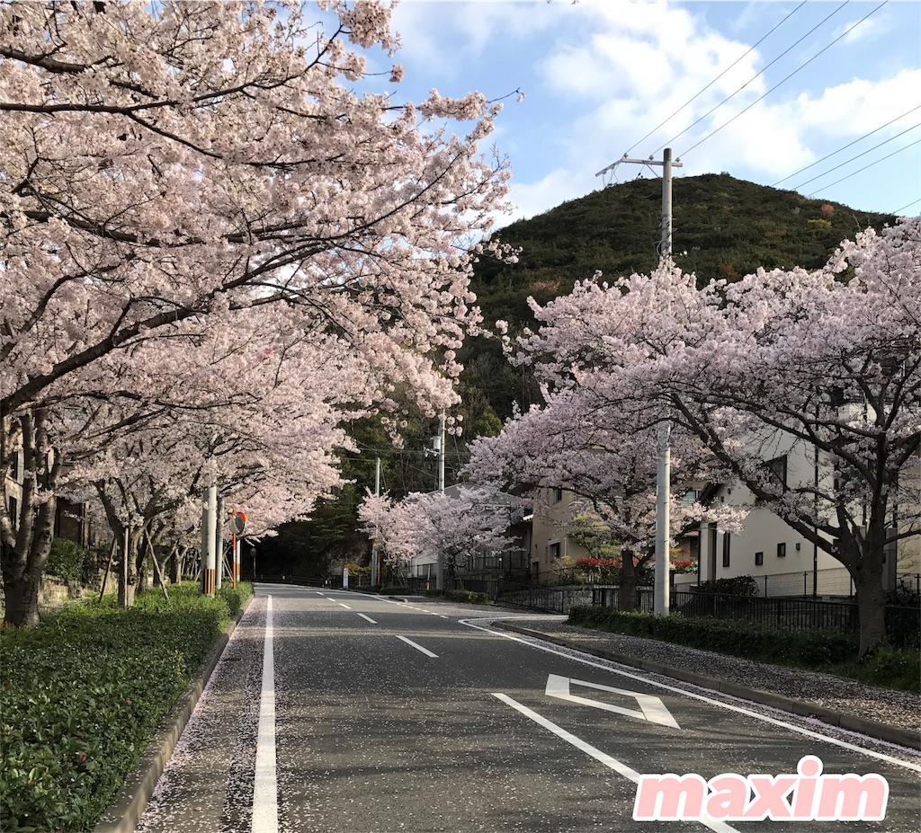 f:id:maxim14:20170417205224j:image f:id:maxim14:20170417205224j:image