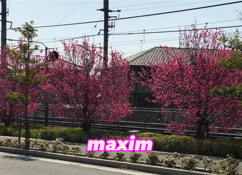 f:id:maxim14:20170417205241j:image f:id:maxim14:20170417205241j:image