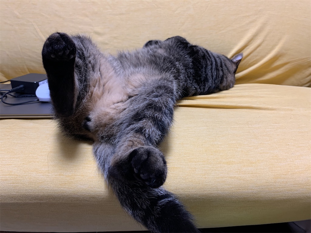 f:id:maximalistmihoko:20200128114606j:image