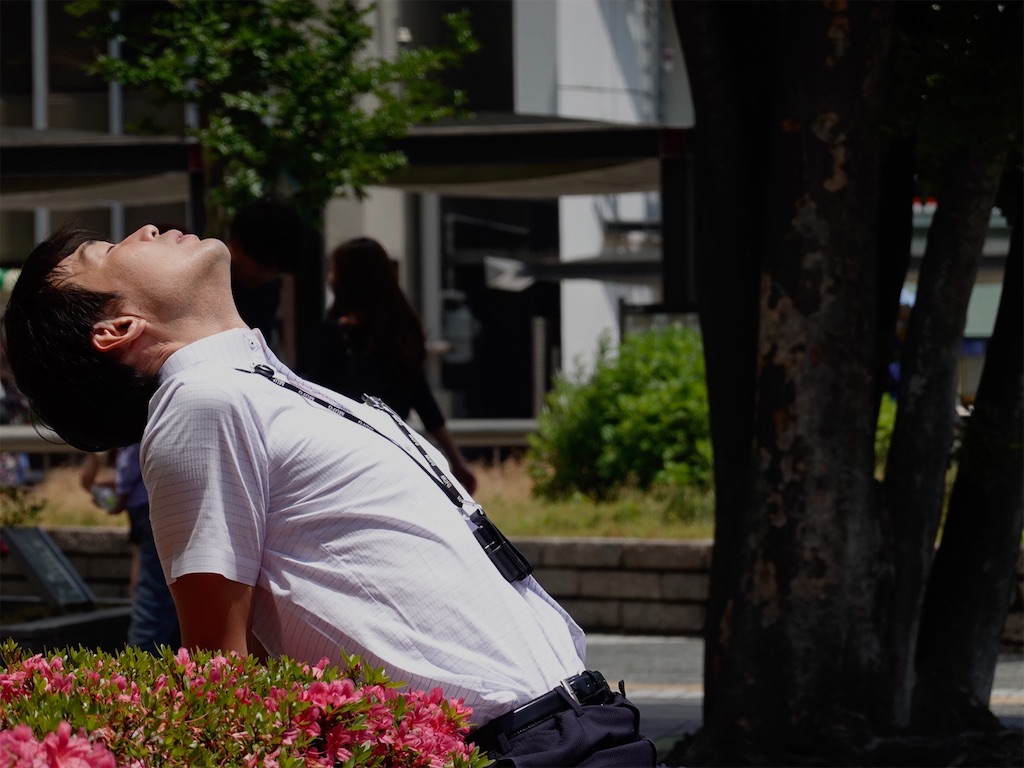 f:id:maxm:20190517122625j:image