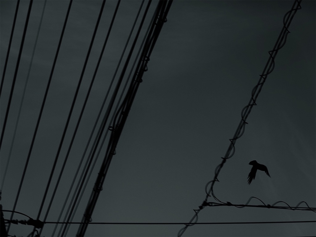 f:id:maxm:20190915102510j:image