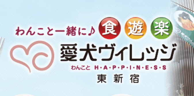 f:id:maxpower123:20190209115219p:plain