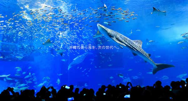 f:id:maxpower123:20190521014404j:plain f:id:maxpower123:20190521014404j:plain