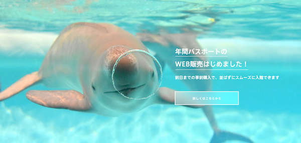 f:id:maxpower123:20190521014454p:plain f:id:maxpower123:20190521014454p:plain