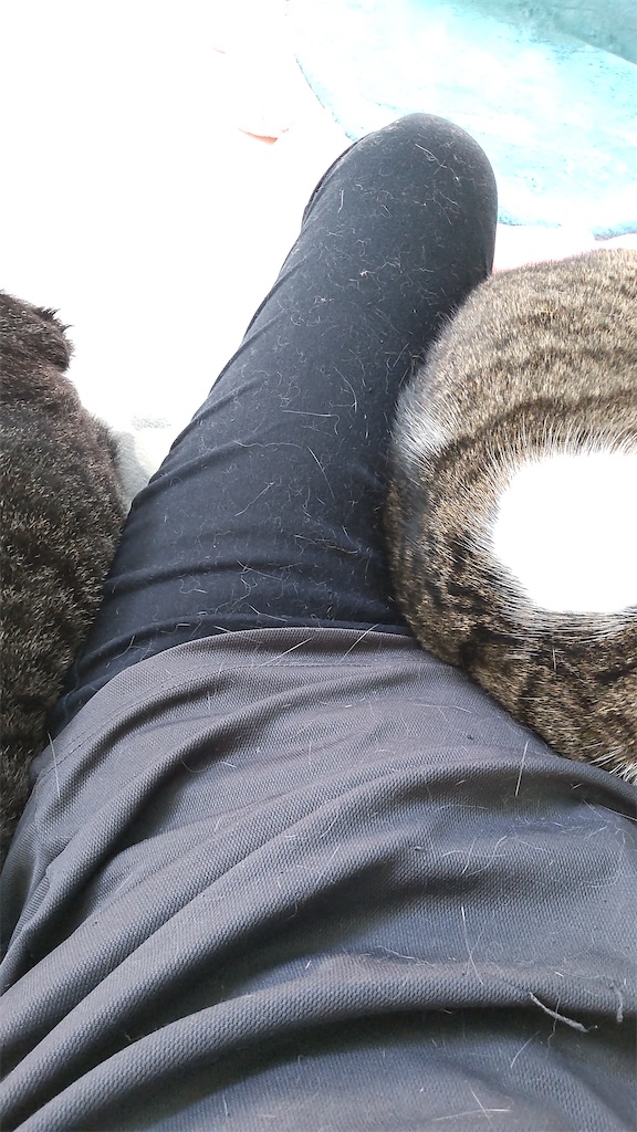f:id:may-cat:20211006150251j:plain