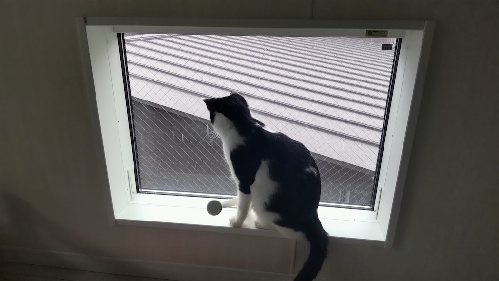 f:id:may-cat:20211226222715j:image f:id:may-cat:20211226222715j:image