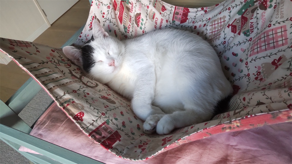 f:id:may-cat:20220120220745j:image f:id:may-cat:20220120220745j:image