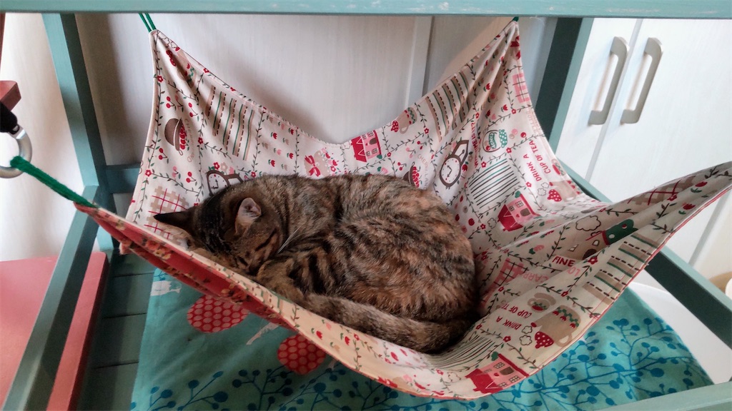 f:id:may-cat:20220402224020j:image f:id:may-cat:20220402224020j:image