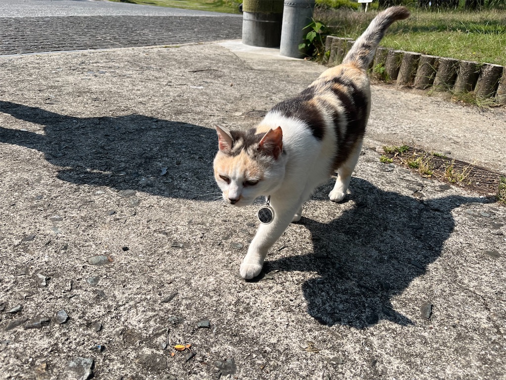 f:id:may-cat:20220523225400j:image f:id:may-cat:20220523225400j:image