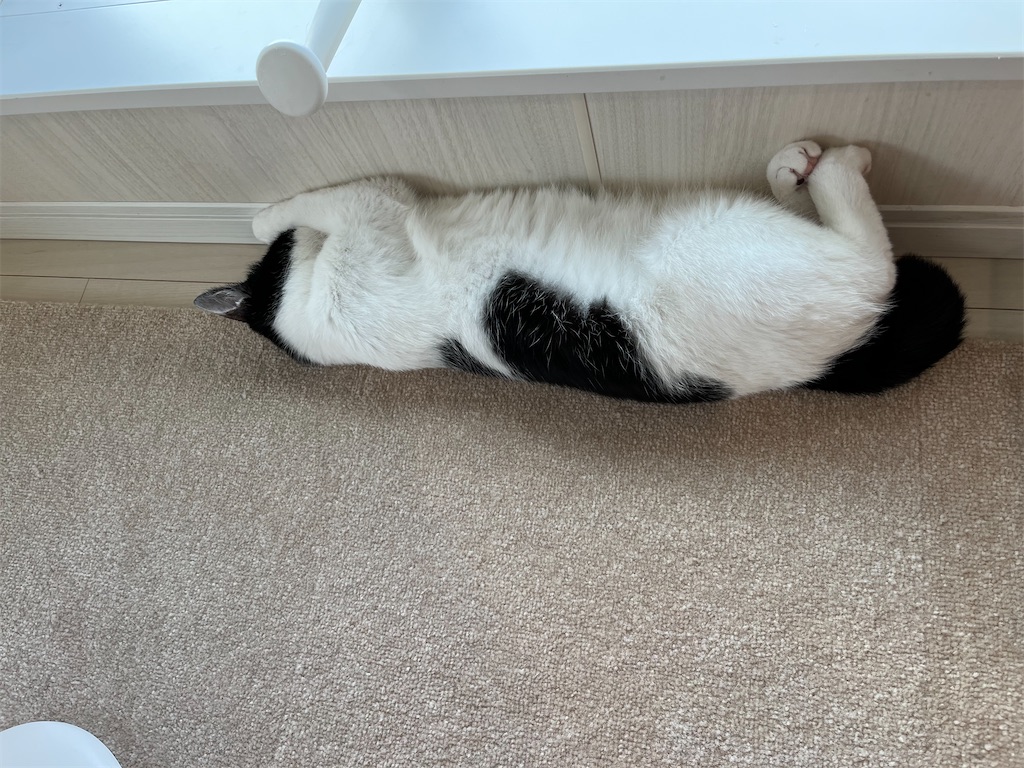 f:id:may-cat:20220531225156j:image f:id:may-cat:20220531225156j:image