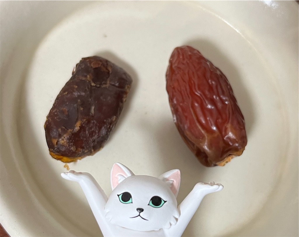 f:id:may-cat:20220817230617j:image