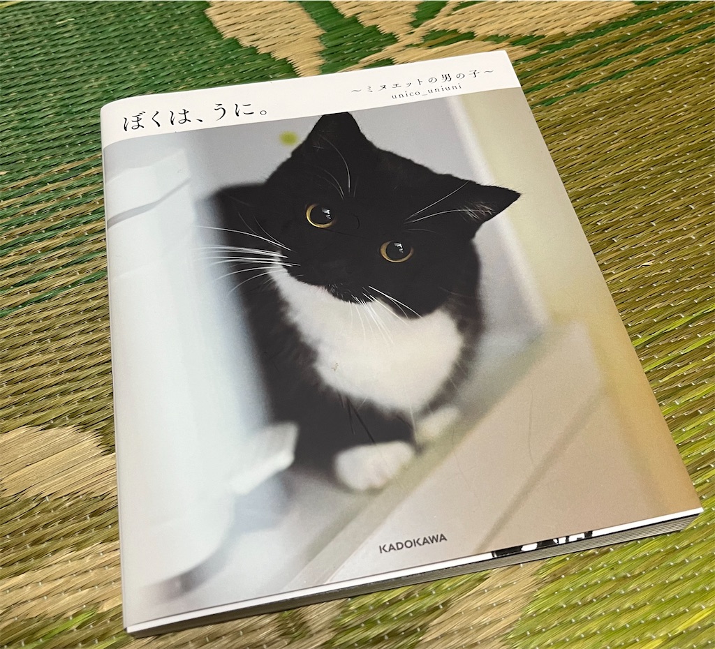 f:id:may-cat:20220827224324j:image f:id:may-cat:20220827224324j:image