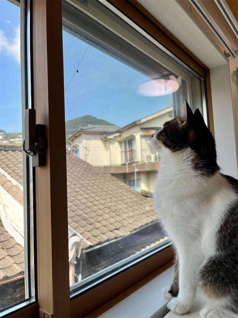 f:id:may-cat:20220914230422j:image f:id:may-cat:20220914230422j:image